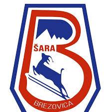 Brezovica – Football Team