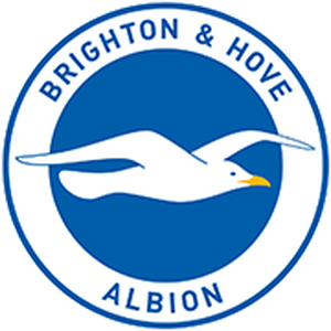 Brighton Hove Albion – Football Team