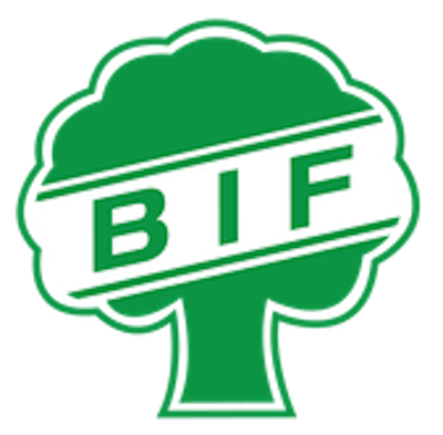 Brodeskov IF (w) – Football Team