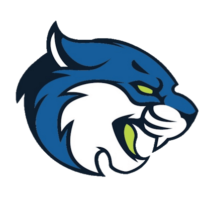 Bryant & Stratton College Albany – Basketball Team