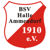 Hold BSV Halle-Ammendorf. Opstilling Football