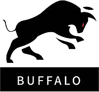 Buffalo Team – Dota 2 Team