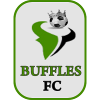 Equipo Buffles del Borgou. Composición De Football