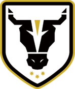 Bulls Academy (w) – Football Team