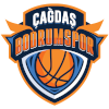 Чагдаш Бодрум, склад з Basketball