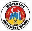 Equipo Çankırı Belediyespor. Composición De Football