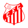Equipo Capivariano. Composición De Football