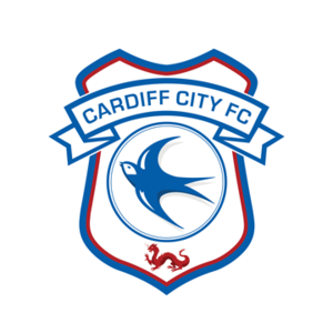 Equipo Cardiff City U18. Composición De Football