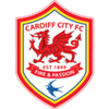 Equipo Cardiff City U23. Composición De Football