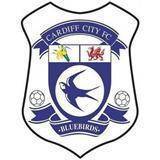 Equipo Cardiff City (f). Composición De Football
