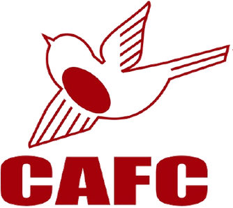 Команда Каршалтон. Состав Football