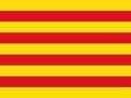 Equipo Catalunya. Composición De Basketball