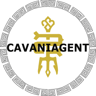 CAVANIAGENT CS2 (CS:GO) Team