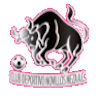 CD Novillos Neza – Football Team