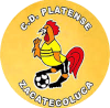 Platense Municipal Football Team