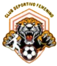 CDF Under (w) – Football Team