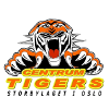 Equipo Tigres del Centro. Composición De Basketball