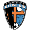夏洛特队 老鹰队 Football队