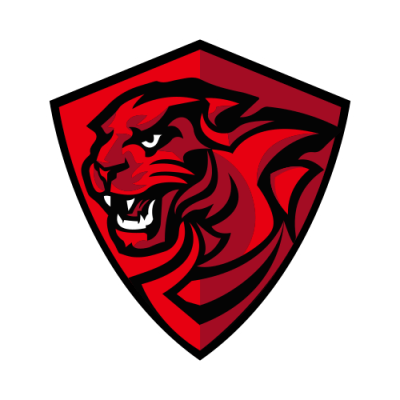 Drużyna Cheetah Gaming. Skład Dota 2