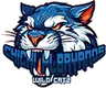 Equipo Chichi Albayanos Wild Catz. Composición De Basketball