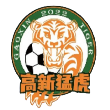 Equipo Chongqing Gaoxin Tiger. Composición De Football