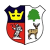 Hold Cinderford. Opstilling Football