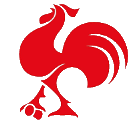 Clube dos Galitos – Basketball Team