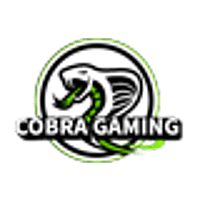 Команда Cobra Gaming. Состав Dota 2