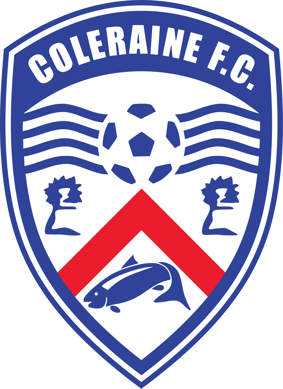 Coleraine U19 – Football