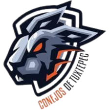 Equipo Conejos Tuxtepec. Composición De Football