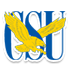 Equipo Coppin State. Composición De Basketball