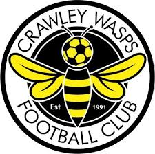 Crawley Wasps (f) Football Team