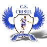 Crisul Chisineu Cris Football Team