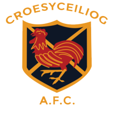 Croesceiliog – Football Team