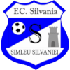 Simleu Silvaniei – Football Team