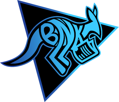 Bad News Kangaroos CS2 (CS:GO) Team