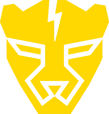 Fearless Cheetahs, склад з CS2 (CS:GO)