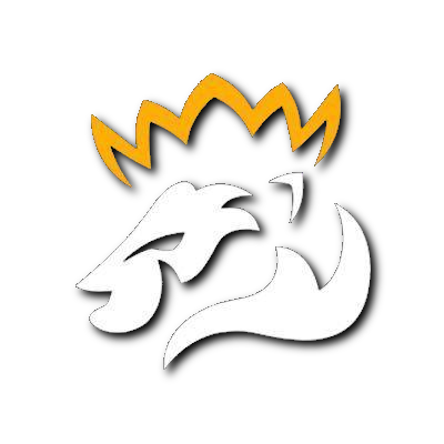 Hold Pryde. Opstilling CS2 (CS:GO)