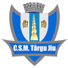 Equipo CSM Târgu Jiu. Composición De Football