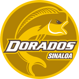 Dorados de Sinaloa – Football Team
