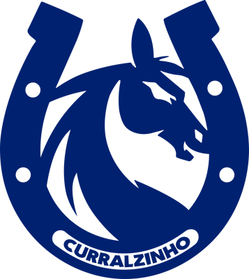 Equipo Curralzinho Sync. Composición De Valorant