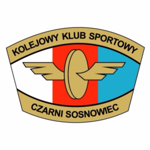 Equipo Czarni Sosnowiec (f). Composición De Football