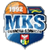 Dąbrowa Górnicza 2 Basketball Team