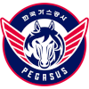 Тегу Kogas Pegasus 2, склад з Basketball