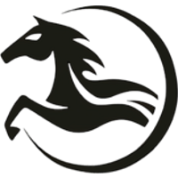 Equipo Dark Horse. Composición De Dota 2