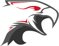 Dark Sided – Dota 2 Team