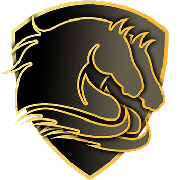 Equipo Double Poney. Composición De CS2 (CS:GO)
