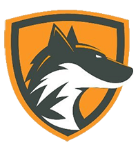 Hold DeftFox. Opstilling CS2 (CS:GO)