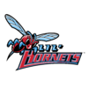 Hold Delaware State. Opstilling Basketball