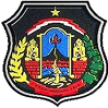 Deltras Sidoarjo – Football Team